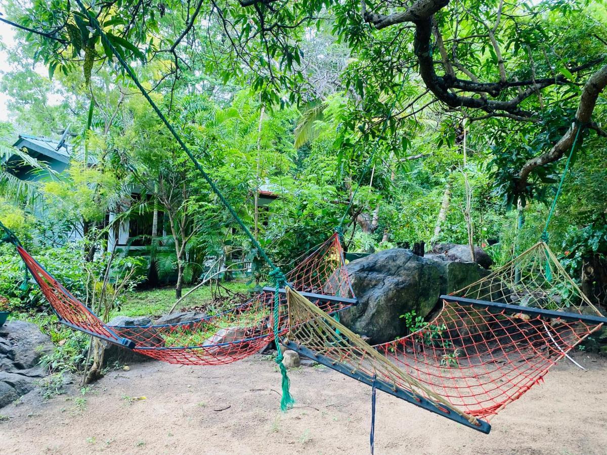 The Jungle Path Lodge Sigiriya Dış mekan fotoğraf